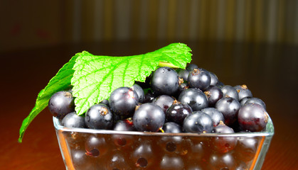 Black currant with green leaf