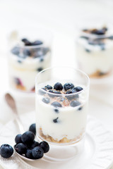 Delicious blueberries, greek yogurt and granola parfaits