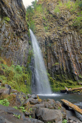 Dry Creek Falls in Columbia River Gorge Vertical