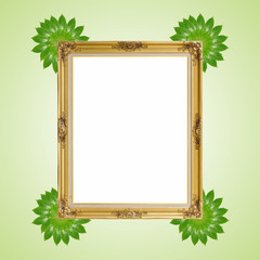 Gold louise and leaves photo frame isolated white background