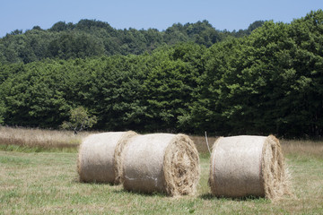 large haystacks round