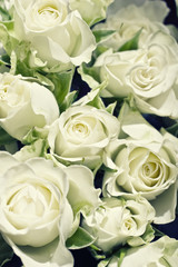 Background from white roses with green leaves