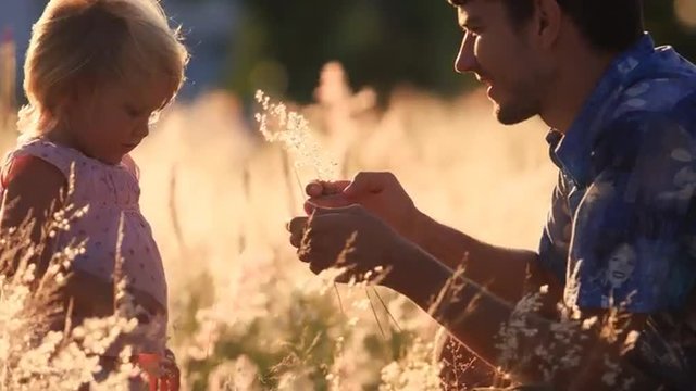 Father Shows Small Daughter Field Flower In Meadow	