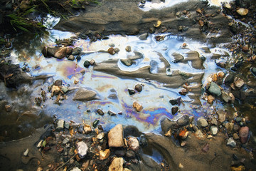 water with different colored patches of gasoline and oil