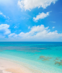 tropical shore under a cloudy sky