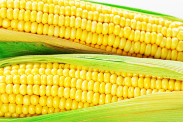 Corn