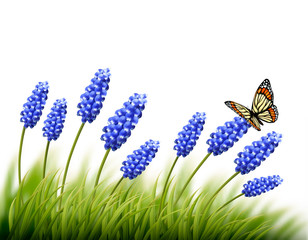 Beautiful lavender background with a butterfly. Vector.