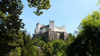 Fototapeta na wymiar Hohensalzburg Fortress framed by trees in Salzburg