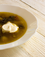 of mushroom soup/ mushroom soup with sour cream on the plate closeup on white boards