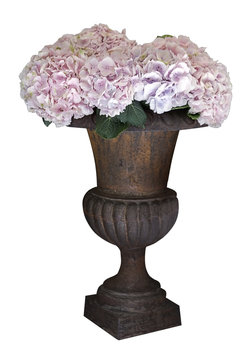 flowers in vase