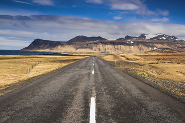 Empty road in Iceland on a summer day