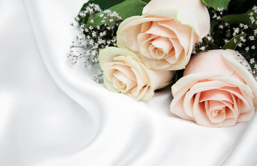 roses on white silk background