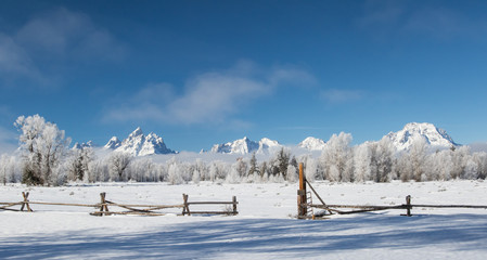 snowy teton mountains with frosty forest and wooden ranch fence  - 87166736