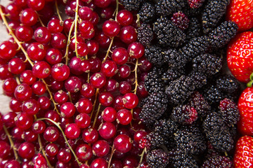 Some gooseberries, raspberries, strawberries and blueberries ove
