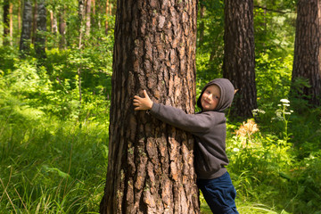 Child hugging pine (tree)