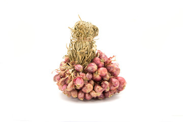 Fototapeta premium Shallot in a group isolated on white background.