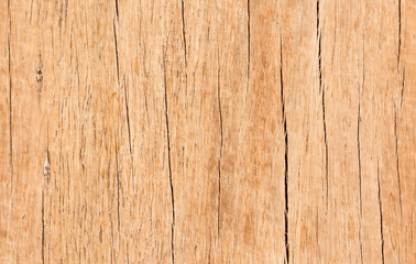 wood texture and abstract and backdrop