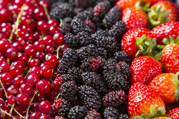 Some gooseberries, raspberries, strawberries and blueberries ove