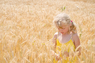 blond girl in rye field