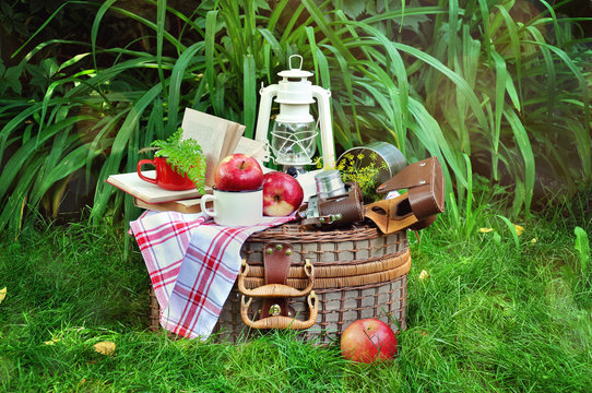 Picnic basket with vintage objects, outdoors, selective focus