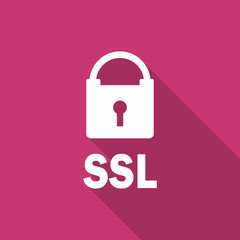 ssl flat design modern icon