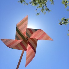 Summer Fun