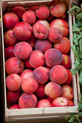 Fresh peaches selling in a market
