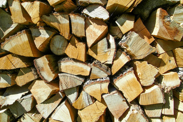 The logs