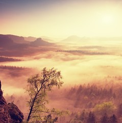 Fairy daybreak. Misty awakening in a beautiful hills.  Filtered image: processed vintage effect.