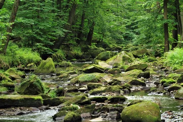 Raamstickers rivier in het bos © jonnysek
