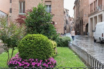 Fototapeta na wymiar Little garden near th cathedral of Ferrara city