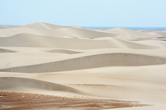 Sand dunes of Stero in Socotra island, Yemen