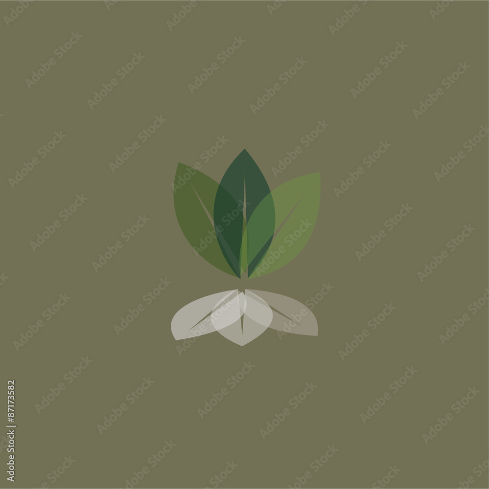 Canvas Prints leaf icon vector