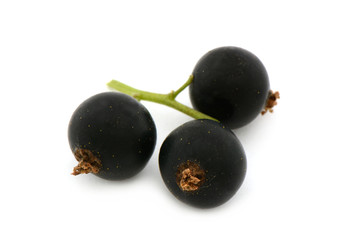 schwarze Johannisbeeren freigestellt