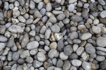 colorful multicolored pebbles on seashore