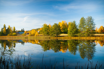 Calm water autumn nature reflection