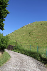 Citadelle de Bitche en Lorraine France