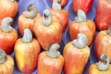 Brazilian caju cashew fruit harvest colorful red display at outdoor farmers market in Nordeste Brazil