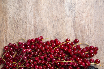 Some gooseberries, raspberries, strawberries and blueberries ove