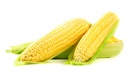 Fresh ripe corn