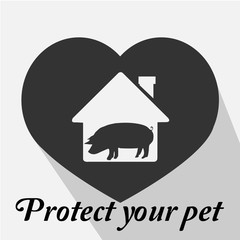 protect your pet over color background