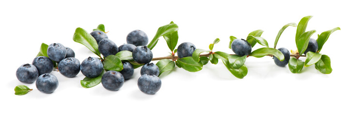 Raw blueberry