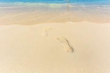 Foot trace on the beach, Similan Island, Koh Ta Chai, Andaman Sea, Thailand