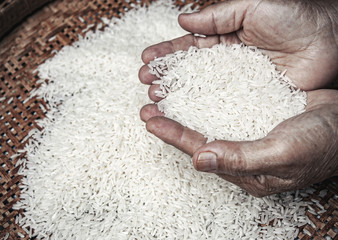 hand holding rice