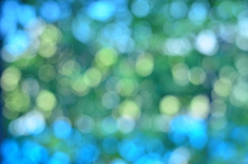 bokeh,background,wall,green,abstract,design,blurred,color,soft,texture