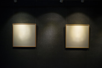 two blank display frames highlighted in a showroom
