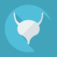 Flat modern design with shadow icons Bladder