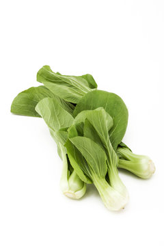 Chinese Cabbage group on background