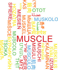 Muscle multilanguage wordcloud background concept