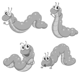 Worms